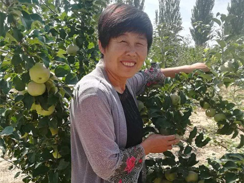 杨润芳_副本.jpg